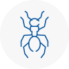 Ant Removals In Gravenhurst