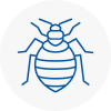 Bed Bug Extermination In Gravenhurst
