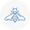 Bee Nest Removal Gravenhurst