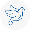 Bird Prevention Gravenhurst