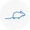 Mice Exterminators In Gravenhurst