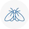 Moth Control Specialists In Gravenhurst