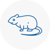Rat Control Gravenhurst
