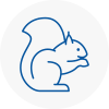 Gravenhurst Rodent Removals