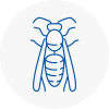 Gravenhurst Wasp Nest Removal